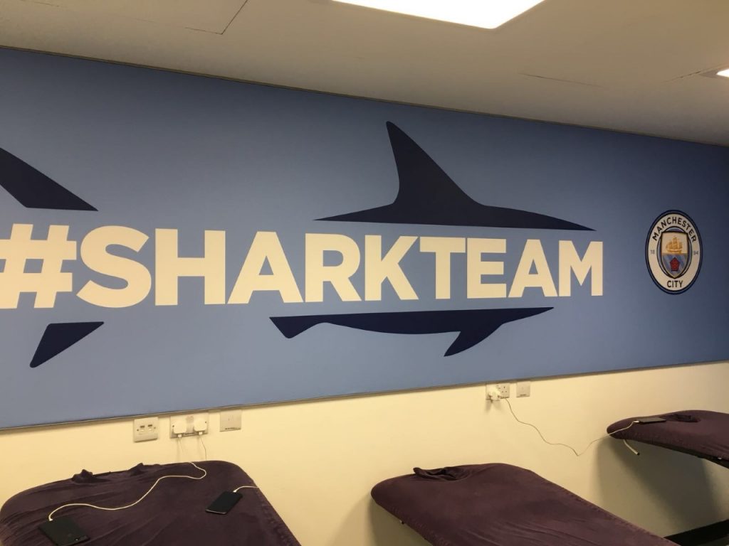 sharkteam